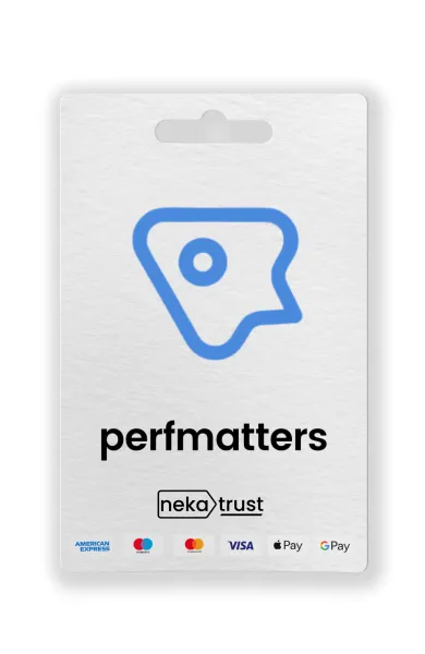 Perfmatters Pro WordPress eklentisi 1 yıllık lisans kart görseli, mavi performans simgesiyle