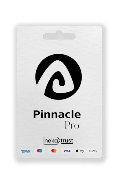 Pinnacle Pro WordPress teması ömür boyu lisans paket görseli, mor yaratıcı tasarım tonlarıyla